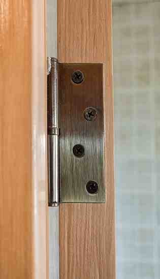 Canopy hinges